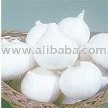 Onion Ankur White