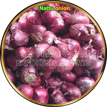 Fresh Indian Onion