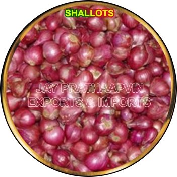 Shallot