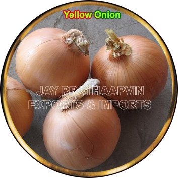 Fresh Yellow Onion
