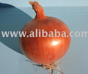 Fresh Onions
