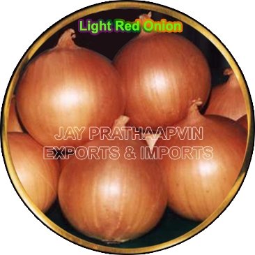  Indian   Red   Onion 