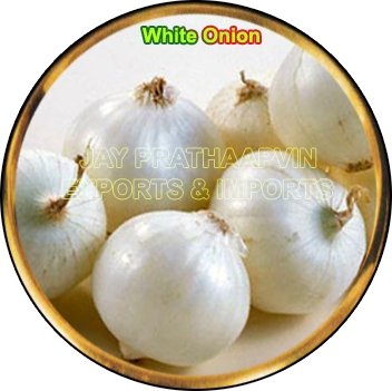Fresh White Onion