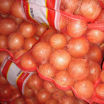 Onion