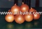 Onion