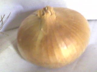 Onions