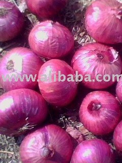 onion