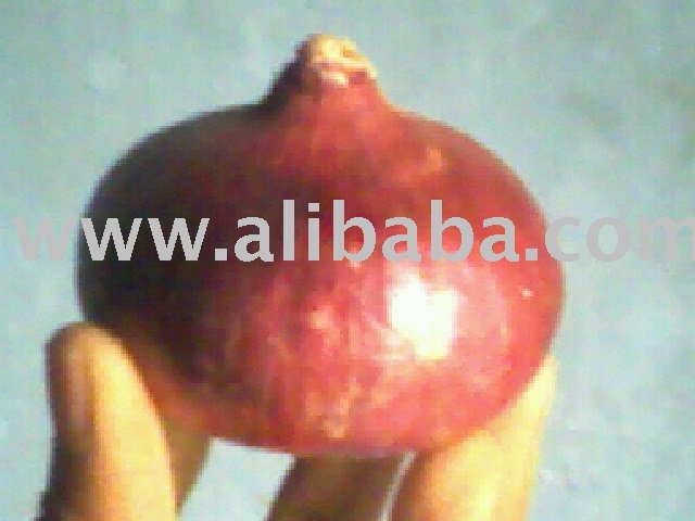 Red Onions