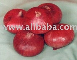  Fresh  Onion  From   India 