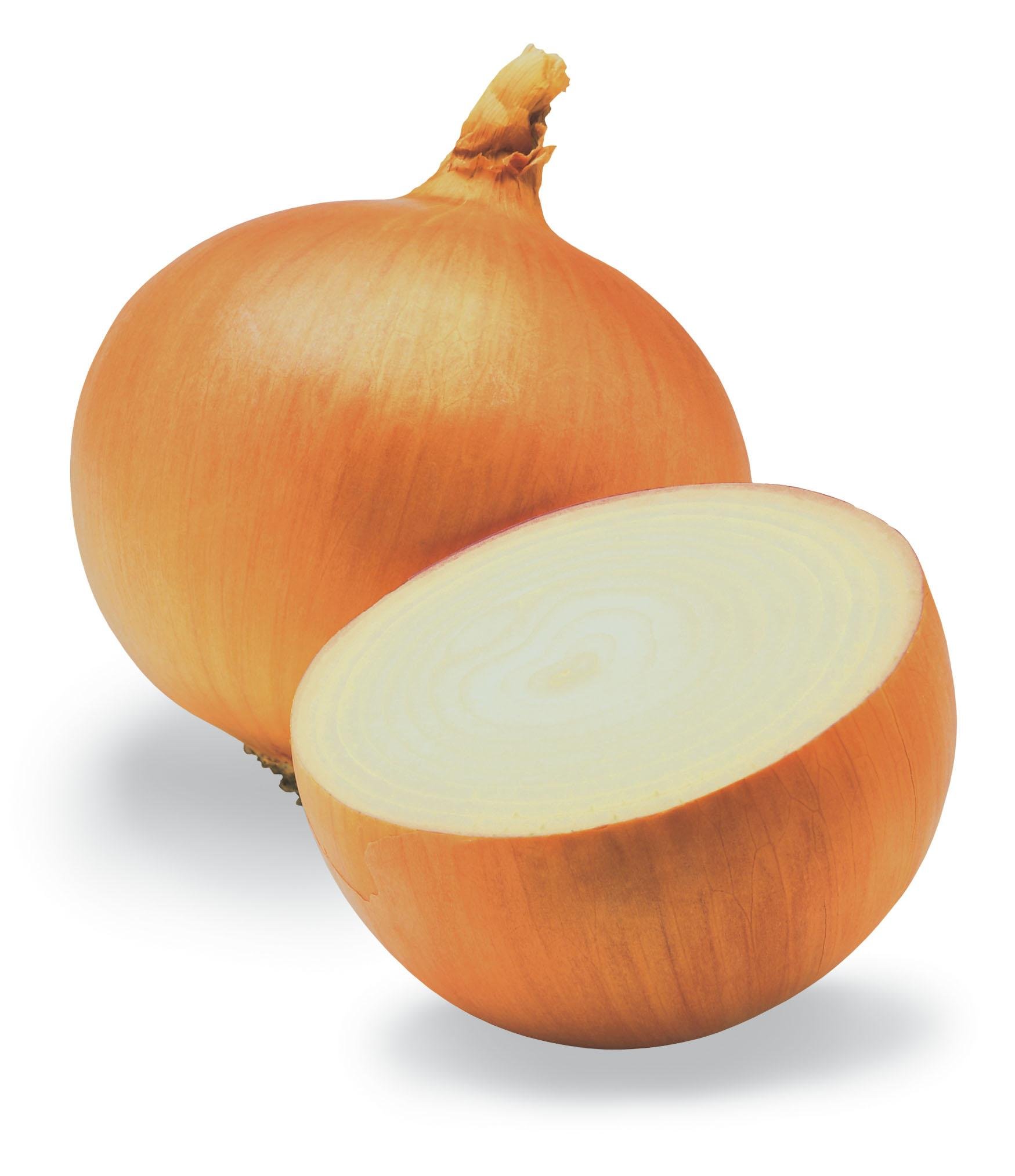 Fresh  onions