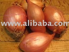  fresh   shallot   onion 