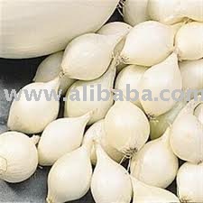 white shallot