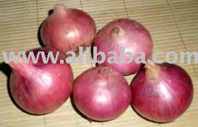 shallot onion