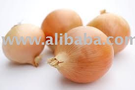  Peeled   Yellow   Onion 