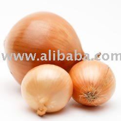 Fresh Onion