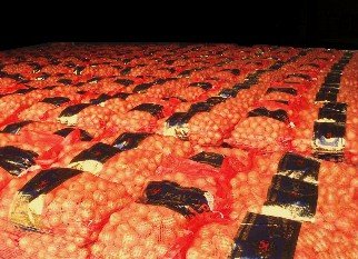 SHARP  PRICE D  ONIONS  40-70 mm