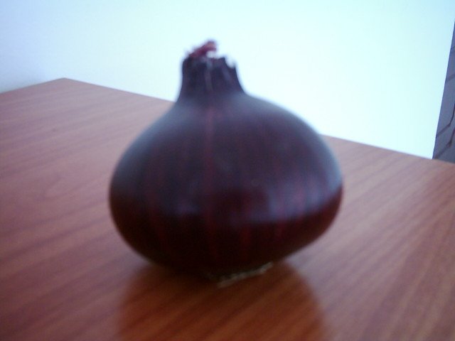 Onion