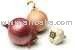 Onions & garlic