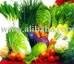  Liliaceous   Vegetabless 