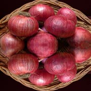 Red  Indian   Onion 