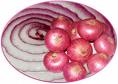 Fresh Red Onion