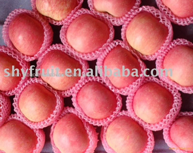 chinese red fuji apple ( top  sale!!!)