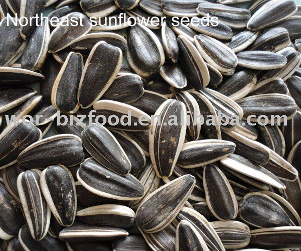 Raw sunflower seeds