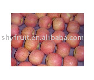SHAANXI fuji apple(top sale!!!)