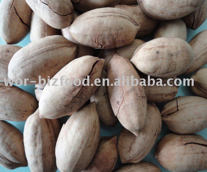 Pecan Nuts in shell
