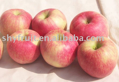 class one fuji apple(top sale!!!)