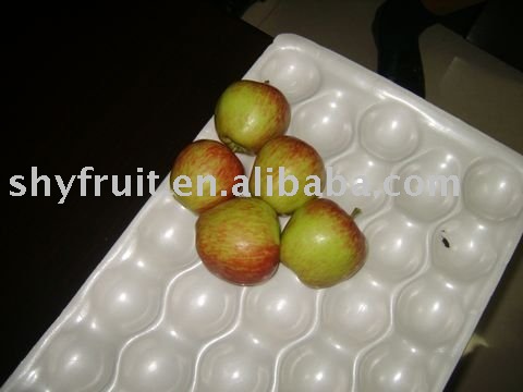 supply chinese fresh apple(TOP SALE)