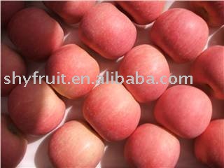 supply  shaanxi   fuji   apple  (top sale!!!)