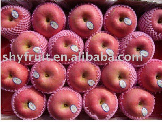 supply  shaanxi  apple