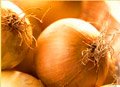 dutch onions