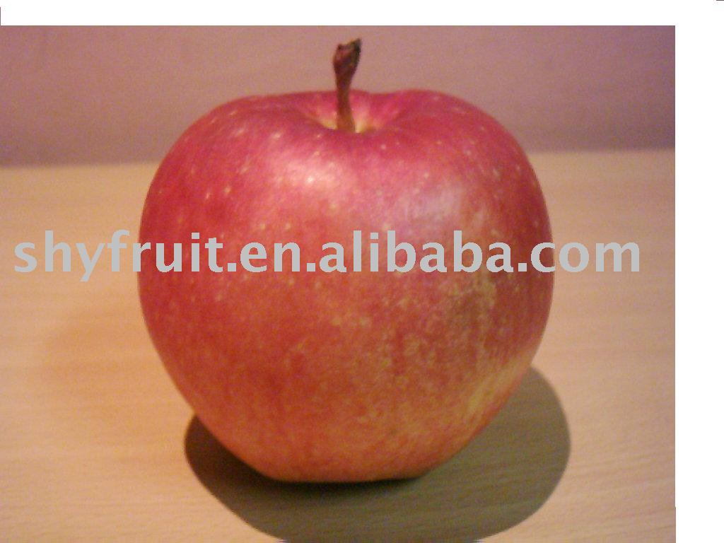 sell  chinese   fresh   apple (HOT!!!)