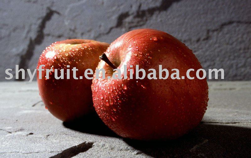 supply chinese fuji apple(top sale!!!)