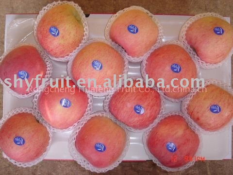 offer  red  fuji apple (TOP  SALE !!!)