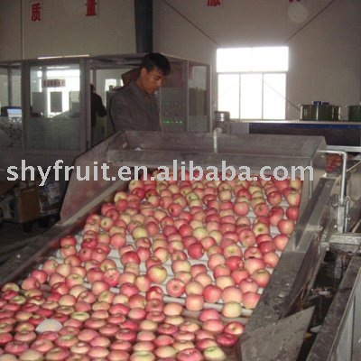apple gala