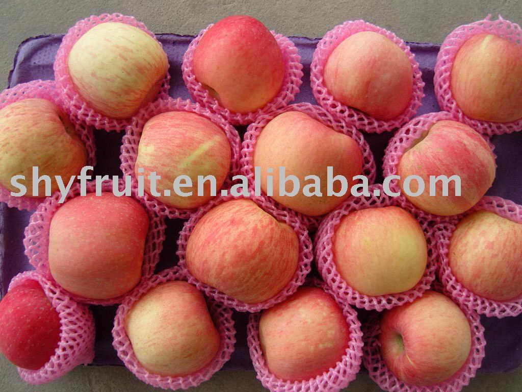 chinese fuji apple on sale now(top sale!!!)