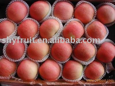 supply red fuji apple(top sale)