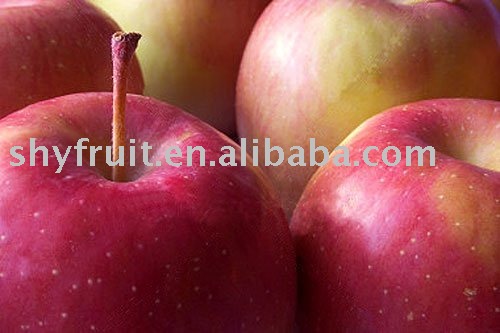 supply chinese red fuji apple (top sale!!!)