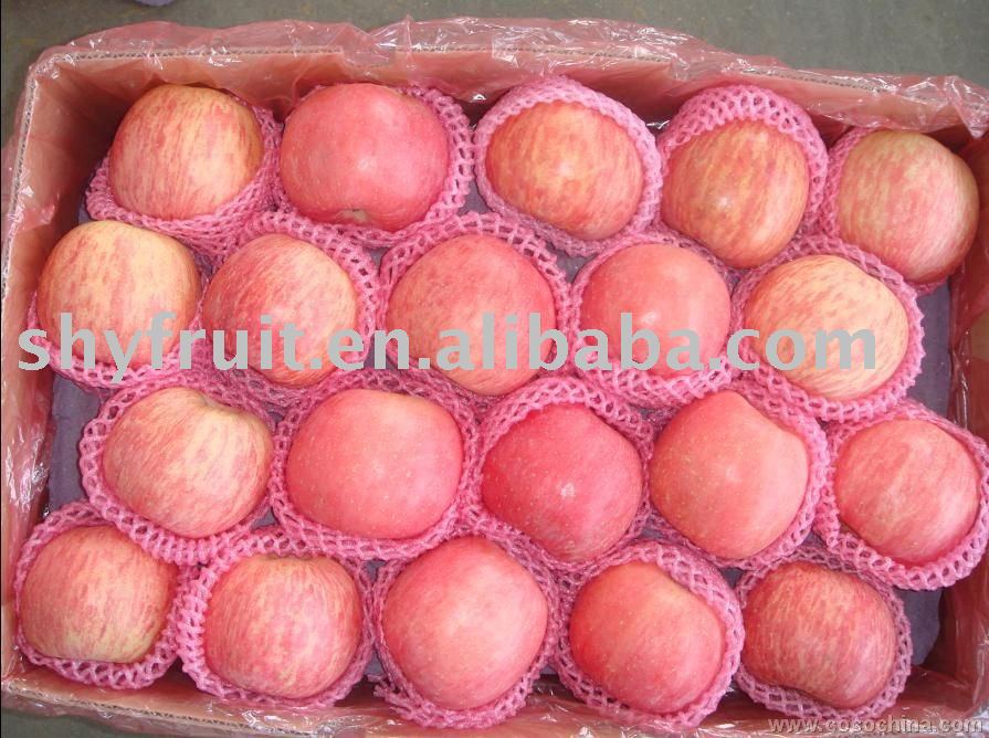 chinese red fuji apple (Hot)