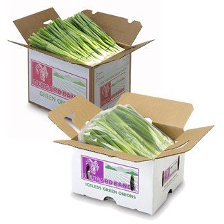  Green   Onion s