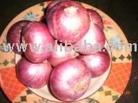 RED ONION