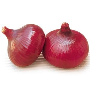 Seeds of red onion