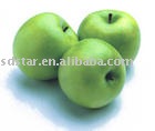 sell chinese fresh delicious green Apple