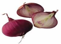 Fresh  Egyptian   Onion 