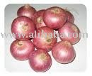 Big onion