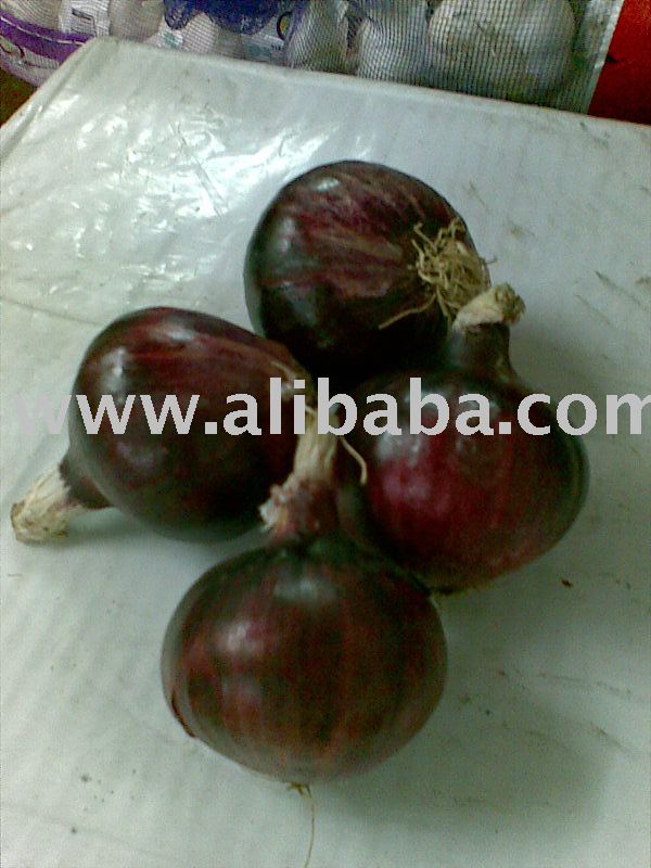  local  red onion big