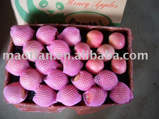 Fresh Red Fuji  Apples